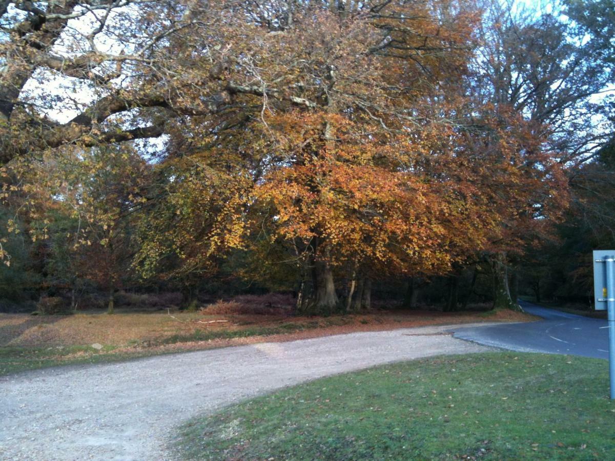 4 Lyndhurst Rd Brockenhurst Exterior foto